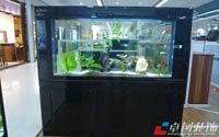 魚缸擺放風水有學問